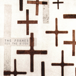 'For the Birds' by The Frames