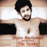 'The Snake' by Shane McGowan